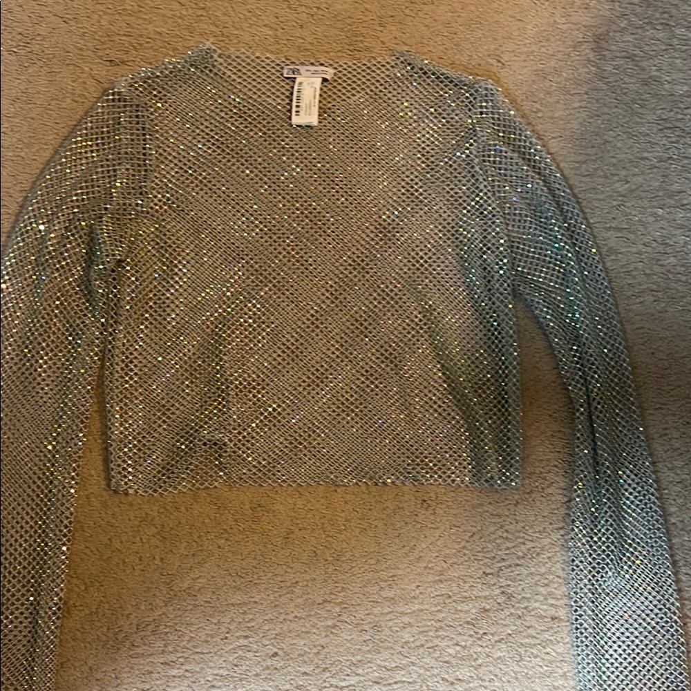 Zara Silver grey Mesh Long Sleeve Top
